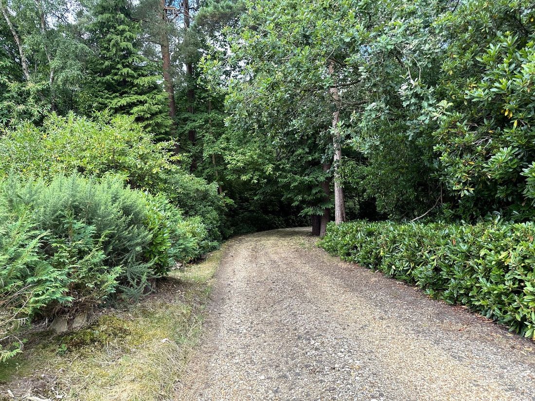 Woodland drive