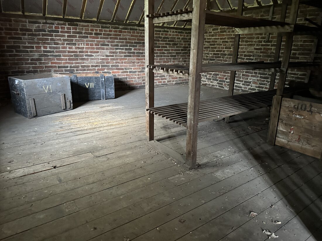 Rustic loft store with timber racking
