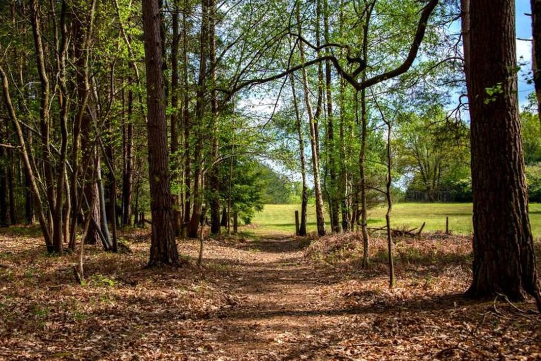 Woodland avenue